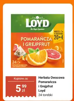 Dino Herbata owocowa Pomarańcza i Grejpfrut Loyd oferta