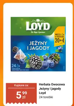 Dino Herbata owocowa Jeżyny i jagody Loyd oferta