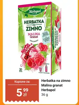 Dino Herbatka na zimno Malina granat Herbapol oferta