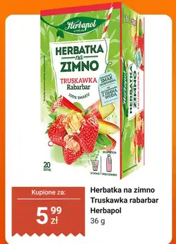 Dino Herbatka na zimno Truskawka rabarbar Herbapol oferta