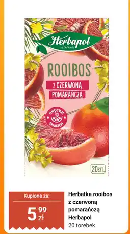 Dino Herbatka rooibos z czerwoną pomarańczą Herbapol 20 torebek oferta