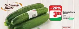 Dino Ogórek zielony polski 1 szt. Dino oferta