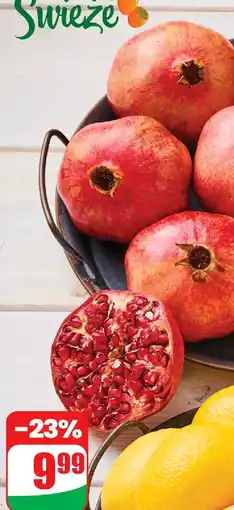 Dino Granat 1 kg Dino oferta