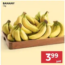 Stokrotka Banany oferta