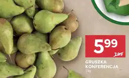 Stokrotka Gruszka oferta