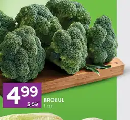 Stokrotka Express Brokuł oferta