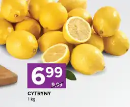 Stokrotka Express Cytryna oferta