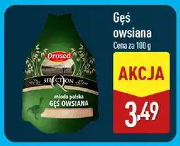 ALDI Drosed Gęś owsiana oferta