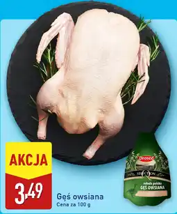 ALDI Drosed Gęś owsiana oferta