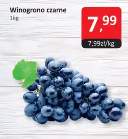Market Point Winogrono czarne oferta