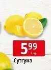E.Leclerc Cytryna Leclerc oferta