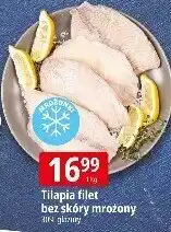 E.Leclerc Tilapia filet bez skóry mrożony Leclerc oferta
