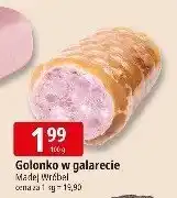 E.Leclerc Golonka w galarecie Morliny Wróbel oferta