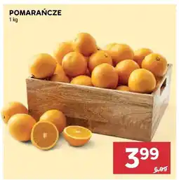 Stokrotka Pomarańcze Stokrotka oferta