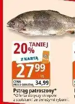 E.Leclerc Pstrąg tęczowy świeży mrozony Leclerc oferta
