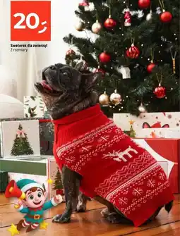 Dealz Sweterek dla zwierząt oferta