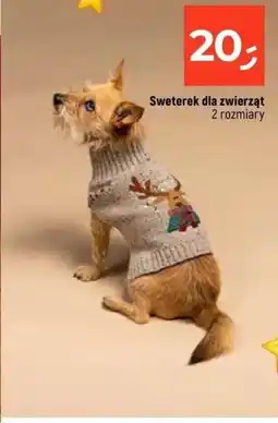 Dealz Sweterek dla zwierząt oferta