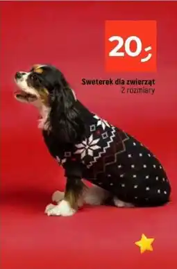 Dealz Sweterek dla zwierząt oferta