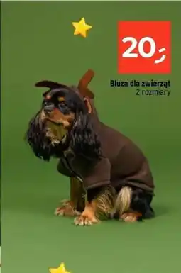 Dealz Bluza dla zwierząt oferta