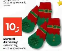 Dealz Skarpetki dla zwierząt oferta
