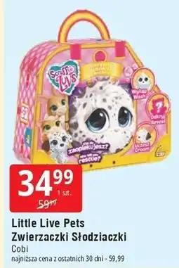 E.Leclerc Zwierzaczki słodziaczki little live pets scruff-a-luvs Cobi oferta