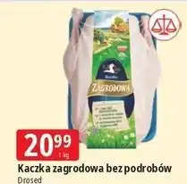 E.Leclerc Kaczka zagrodowa Drosed oferta