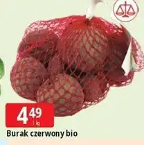 Buraki bio