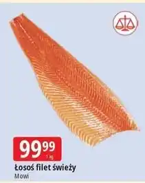 E.Leclerc Łosoś świeży Mowi oferta