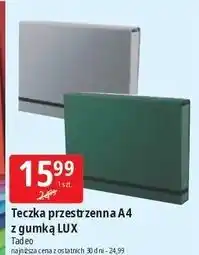 E.Leclerc Teczka przestrzenna a4 z gumką lux Tadeo oferta