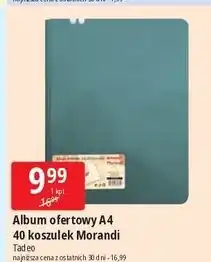 E.Leclerc Album ofertowy 40 kieszeni Tadeo oferta