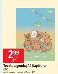 E.Leclerc Teczka z gumką a4 Gdd oferta