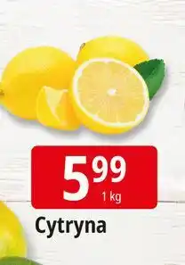 E.Leclerc Cytryny oferta