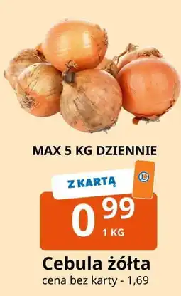 E.Leclerc Cebula żółta oferta