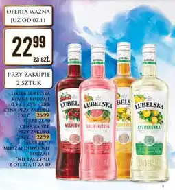 Dino LUBELSKA oferta