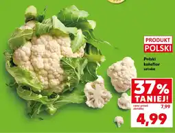 Kaufland Polski kalafior oferta