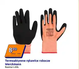 Action Termoaktywne rękawice robocze Werckmann oferta