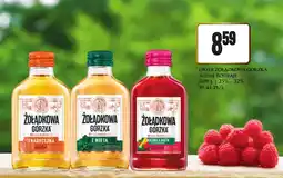 Dino Likier Żołądkowa Gorzka oferta