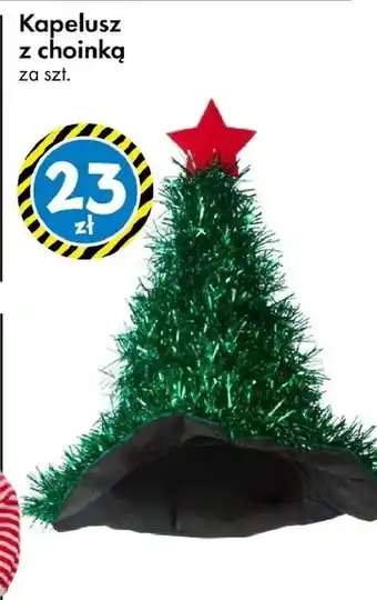 Tedi Kapelusz oferta