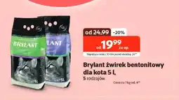 Kakadu Żwirek bentonitowy Brylant oferta