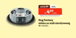 Kakadu Miska Dog Fantasy oferta