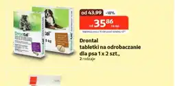 Kakadu Środek odrobaczający dla psa Drontal oferta