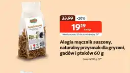 Kakadu Przysmak dla ptaków Alegia oferta