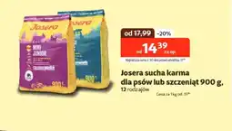 Kakadu Karma dla psa Josera oferta