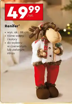 Biedronka Renifer oferta