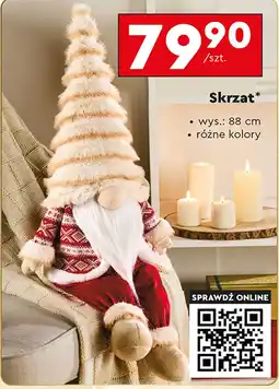 Biedronka Skrzat OnLine oferta