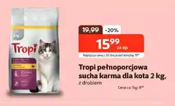 Kakadu Karma dla kota Tropi oferta
