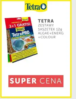 ARA TETRA oferta