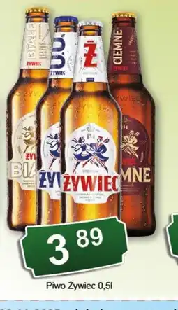 Eden Piwo Zywiec oferta