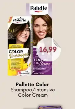Astor Palette Color oferta