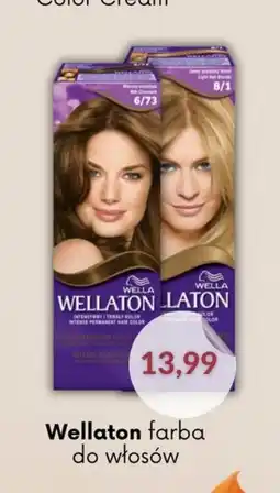 Astor Wellaton farba do włosów oferta